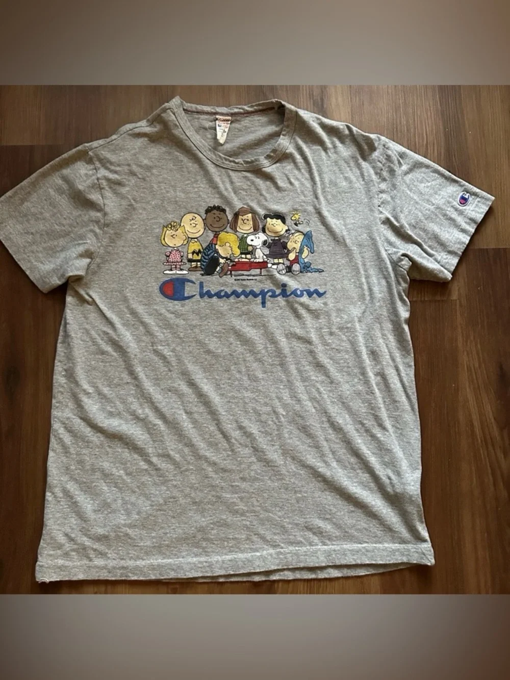 Champion x Todd Snyder Peanuts Snoopy Gray Crewneck T-shirt Size Large - Picture 2 of 5